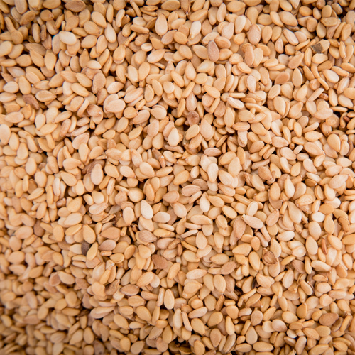 Egyptian Sesame