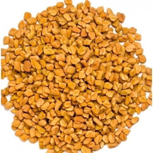 Egyptian Fenugreek