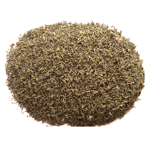 Egyptian Thyme