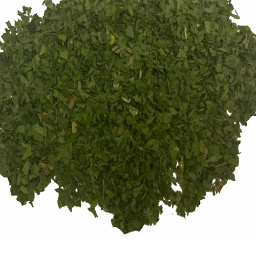 Egyptian Parsley